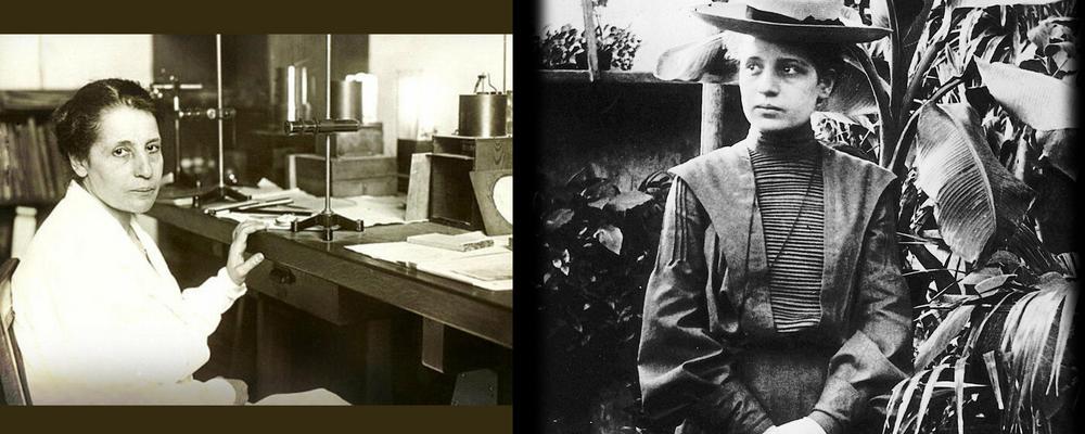 Lise Meitner